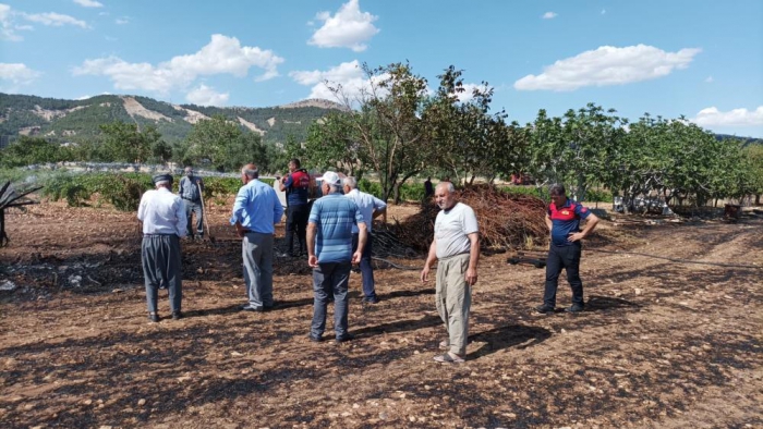 Adıyaman'da Anız yangınında 15 ton saman kül oldu