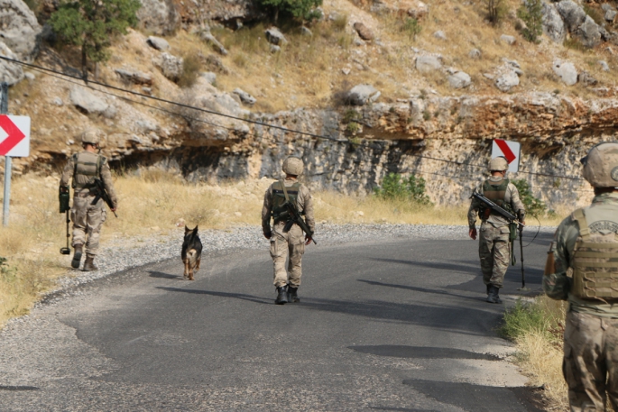 Adıyaman'da bir terörist etkisiz hale getirildi