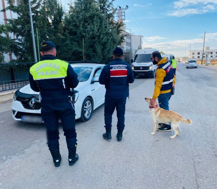 Adıyaman'da Huzurlu Sokaklar uygulaması 22 Gözaltı 