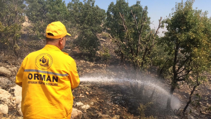 Adıyaman'da ormanlık alanda yangın