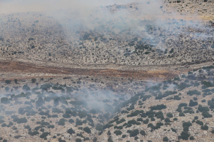 Adıyaman'da ormanlık alanda yangın