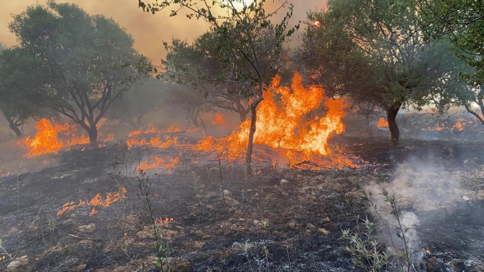 Adıyamanda örtü yangını ormanlık alana sıçradı