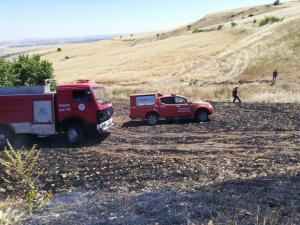 Adıyaman'da 13 dönüm ekili tarla yandı