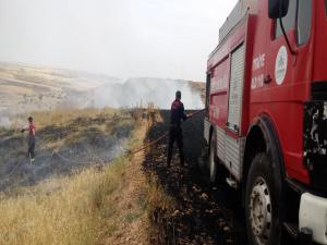 Adıyaman'da 5 Dekar Ekili Buğday Yandı