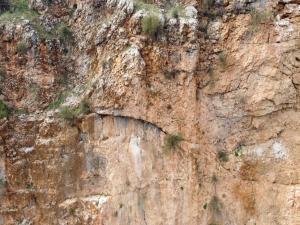 Adıyaman'da Kızıl Akbabaların Sayısında Artış Yaşandı