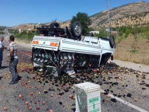 Adıyaman'da Meyve Yüklü Kamyonet Takla Attı