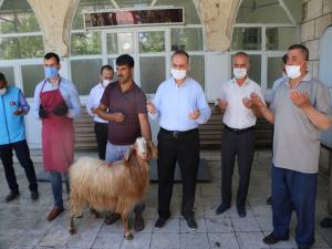 Adıyaman'da müftülük şükür kurbanı kesti