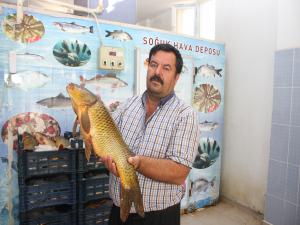 Adıyamanın Şabut Balığı, İç Anadolu Bölgesinin Tercihi Oldu