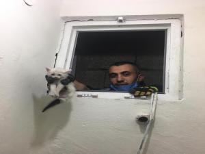 Havalandırma boşluğuna düşen kedi kurtarıldı