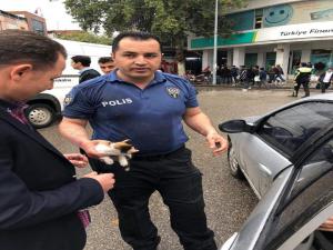 Minibüsün Tekerine Sıkışan Kediyi Polis Kurtardı