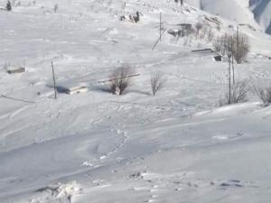 Sincik'de Yayla Evleri Kar Altında Kaldı
