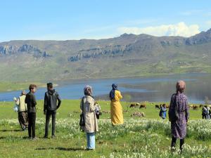 Yaban Nergislere Yerli Turist Akını