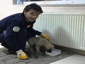Yağmurda Islanan Yavru Köpeğe İtfaiye Ekipleri Sahip Çıktı