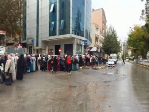 Hani Adıyaman'da İşsizlik Yoktu Bunlar Kim