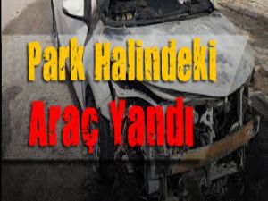 Park Halindeki Araç Alev Alarak Yandı