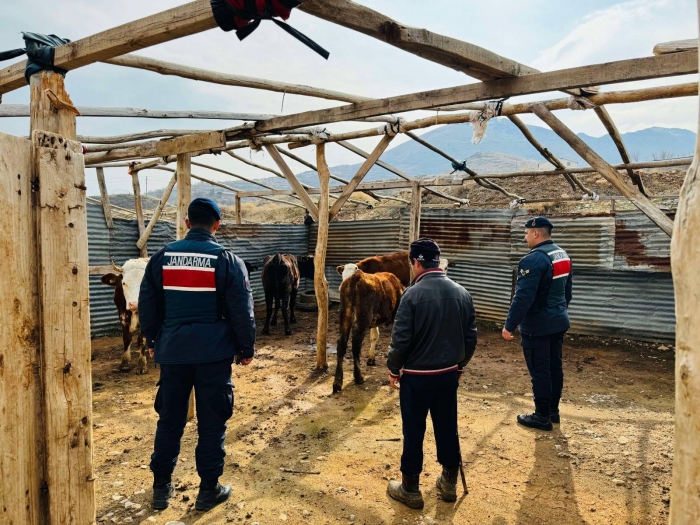 Jandarma Kaybolan Sürüyü İHA ile buldu