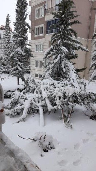 Ağaçlar devrildi, araçlar yolda mahsur kaldı