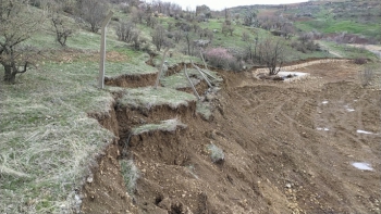 Besni'de Aşırı Yağış Nedeni İle Ağaçlar Devrildi