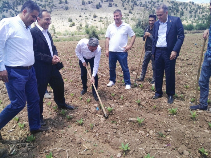 Millitvekili Aydın Adıyaman'ı karış karış geziyor