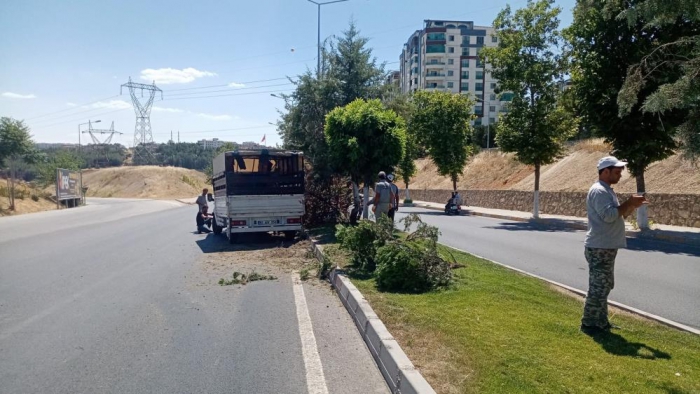 Refüjdeki ağacı devirerek karşı şeride geçti