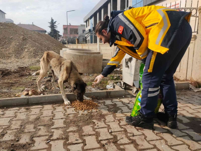 112 Personellerinden sokak hayvanlarına mama desteği