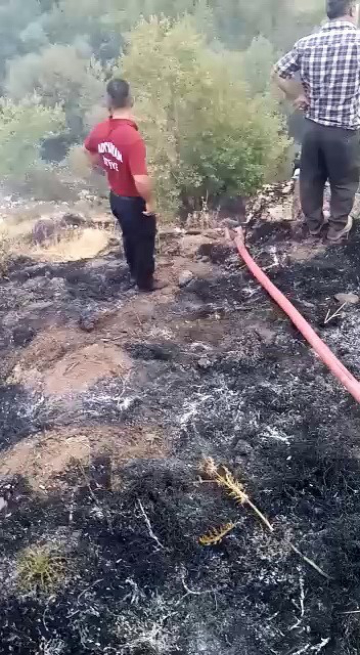 Adıyaman´da orman yangını korkuttu
