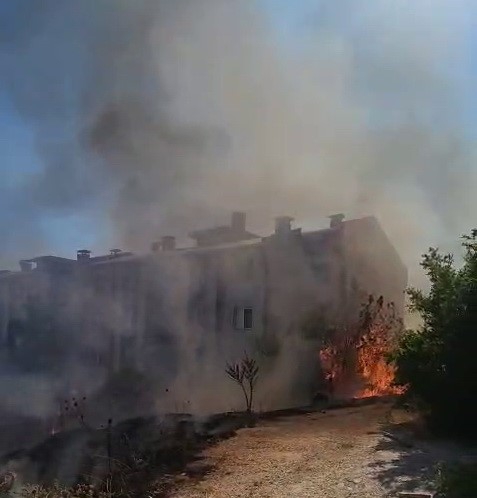 Adıyaman İndere'de Ağaçlar cayır cayır yandı