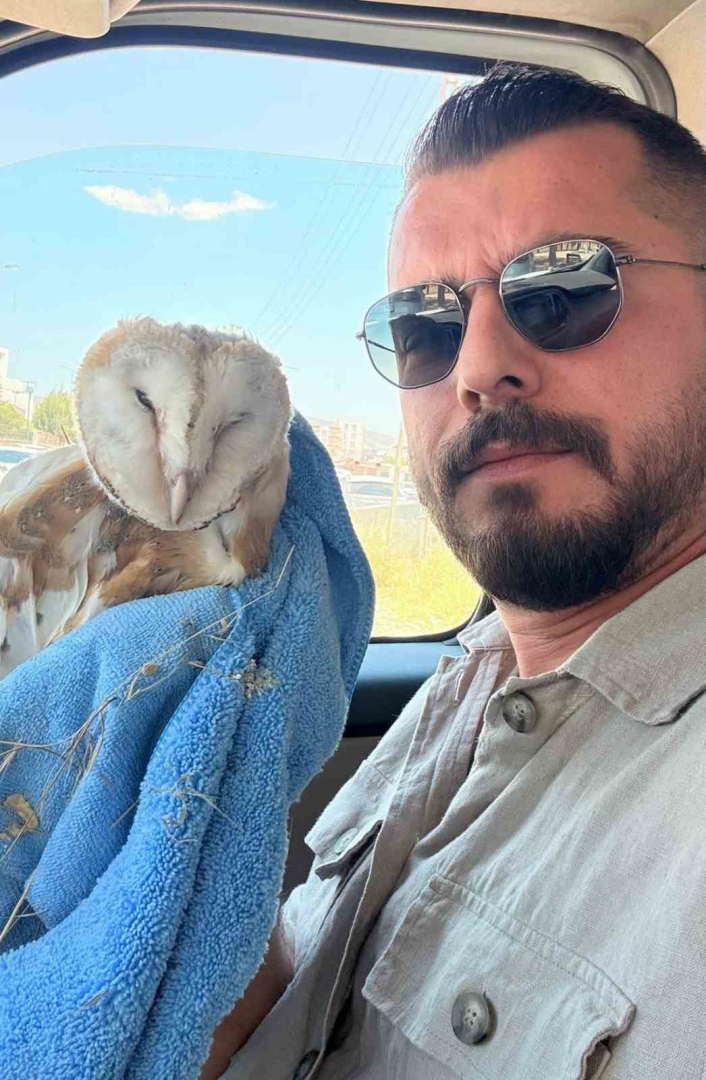 Adıyamanda bitkin halde Bayağı Peçeli Baykuş bulundu
