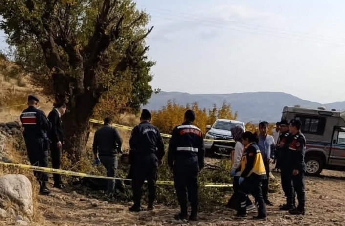 Adıyamanda budama yaptığı ağaçtan düşen yaşlı adam hayatını kaybetti