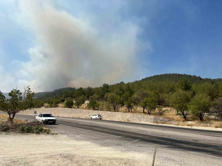 Adıyamanda orman yangını
