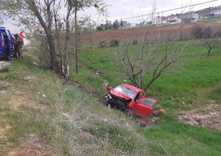 Ağaca çarpan otomobil şarampole yuvarlandı
