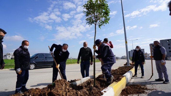 Ağaçlandırma çalışması devam ediyor