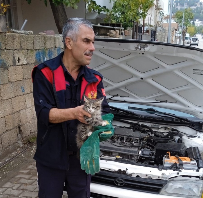 Aracın motor kısmına sıkışan kedi kurtarıldı
