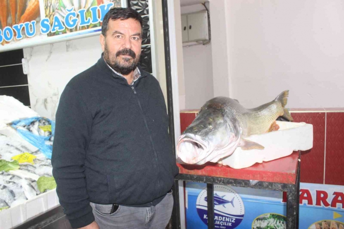 Atatürk Barajında dev turna balığı yakalandı
