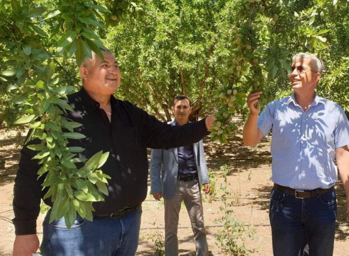 Başkan Turanlı: Hububatta yaşanan sıkıntı badem de yaşanmasın
