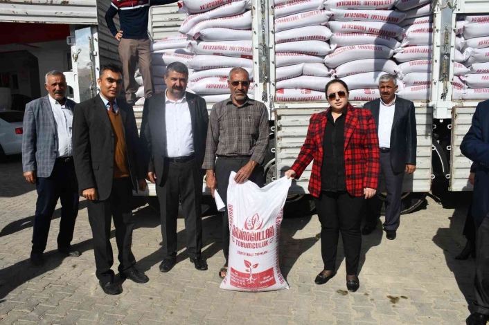 Çiftçilere mercimek tohumu dağıtıldı