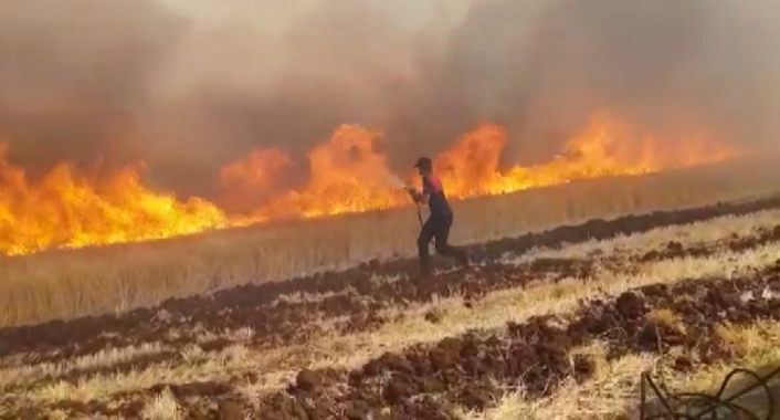 Ekili alan yangınları arttı, itfaiye müdürü uyardı
