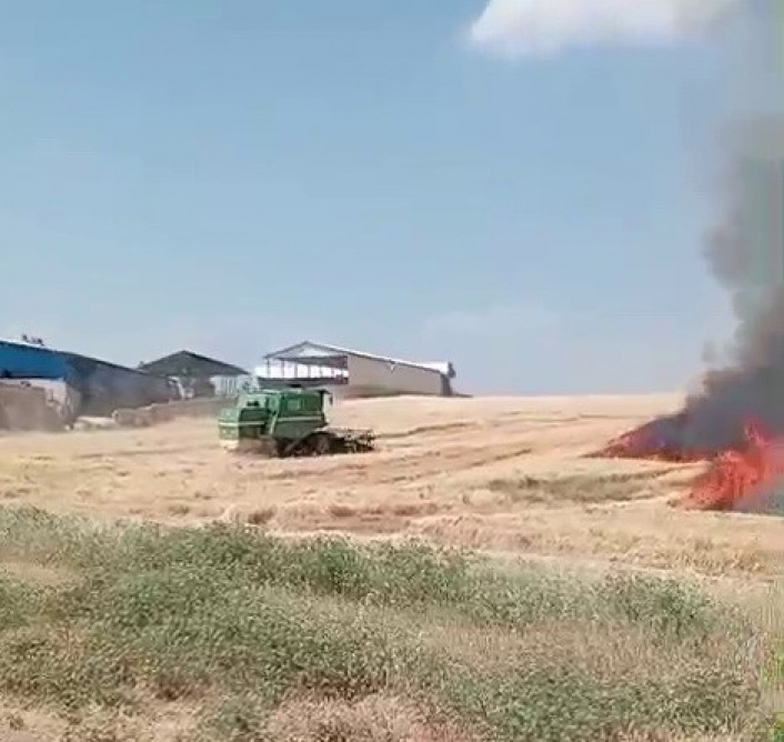 Ekili alanlar cayır cayır yandı
