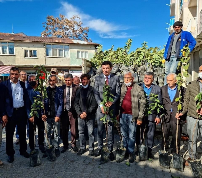 Gölbaşı´nda Hurma fidanı dağıtıdı
