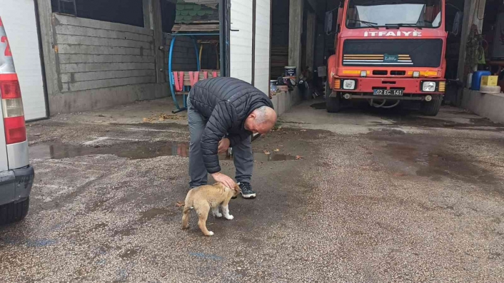 İtfaiye ekipleri yavru köpeği sahiplendi
