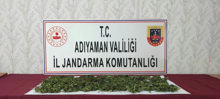 Jandarmadan uyuşturucu operasyonu
