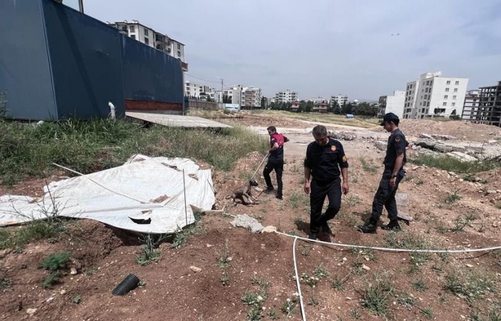 Jandarmanın dikkati yavru köpeği ölümden kurtardı
