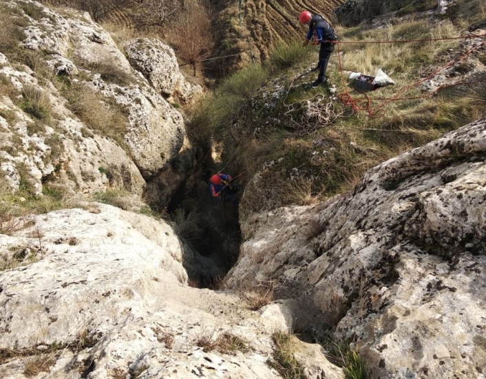 Kayaların arasında mahsur kalan 2 keçi kurtarıldı
