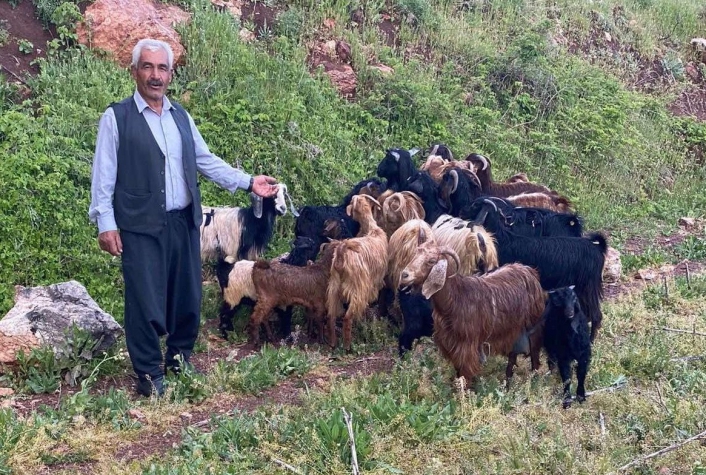 Kaybolan küçükbaş sürüsünü jandarma ekipleri buldu
