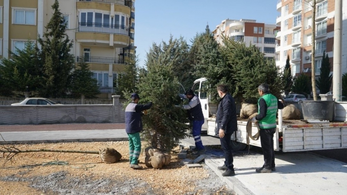 Kent Parkta ağaçlandırma çalışması