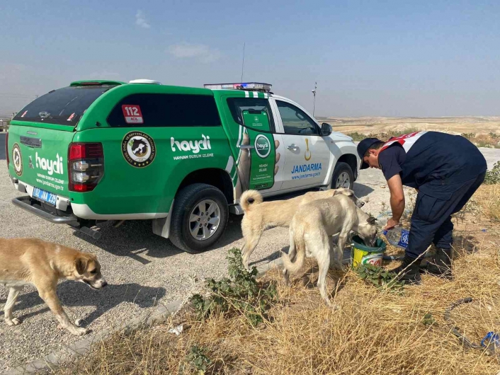 Koruma timi 6 ayda 57 olaya müdahale etti
