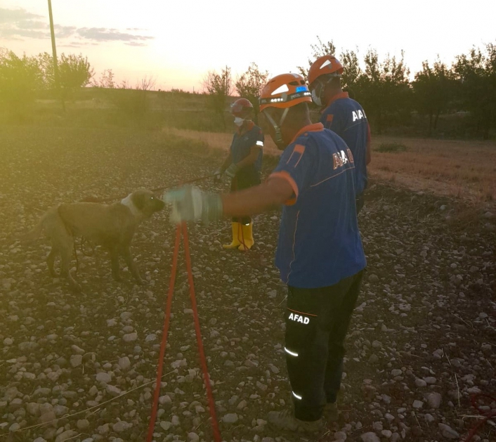 Kuyuya düşen köpeği AFAD ekipleri kurtardı
