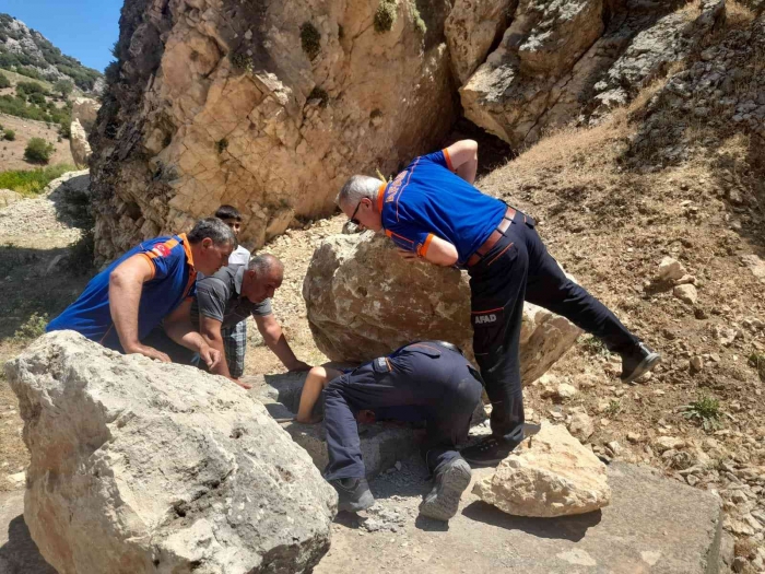 Kuyuya düşen tilkiyi AFAD ekipleri kurtardı
