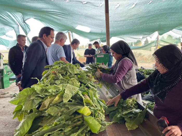 Milletvekili Tutdere, köylülerin sorunlarını dinliyor