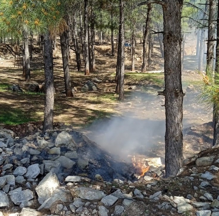 Adıyaman’da ormanlık alanda yangın